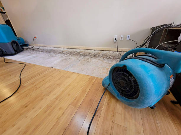 Professional Sewage Cleanup technician working in Franklin, KY